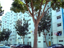 Blk 848 Woodlands Street 82 (Woodlands), HDB Executive #349962